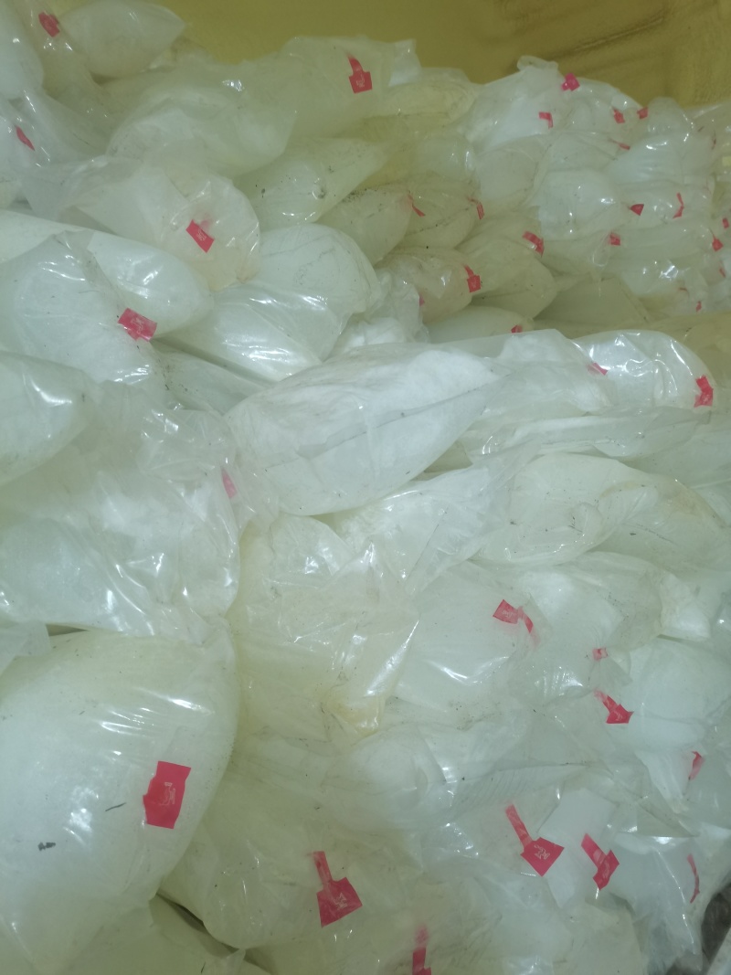 长白山白桦汁原汁一手货源保质保量产地直发