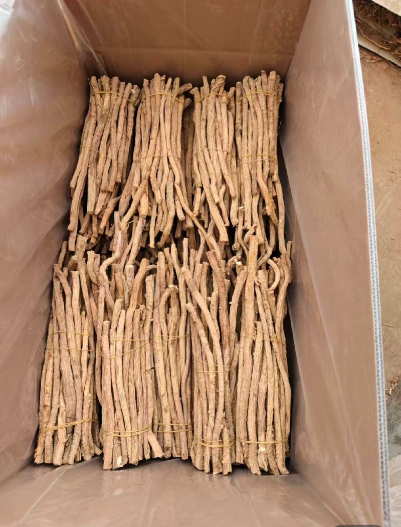 【产地直供】大西北高品质关防风，货源充足，量大从优！