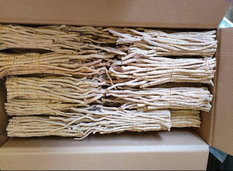 【产地直供】大西北高品质关防风，货源充足，量大从优！