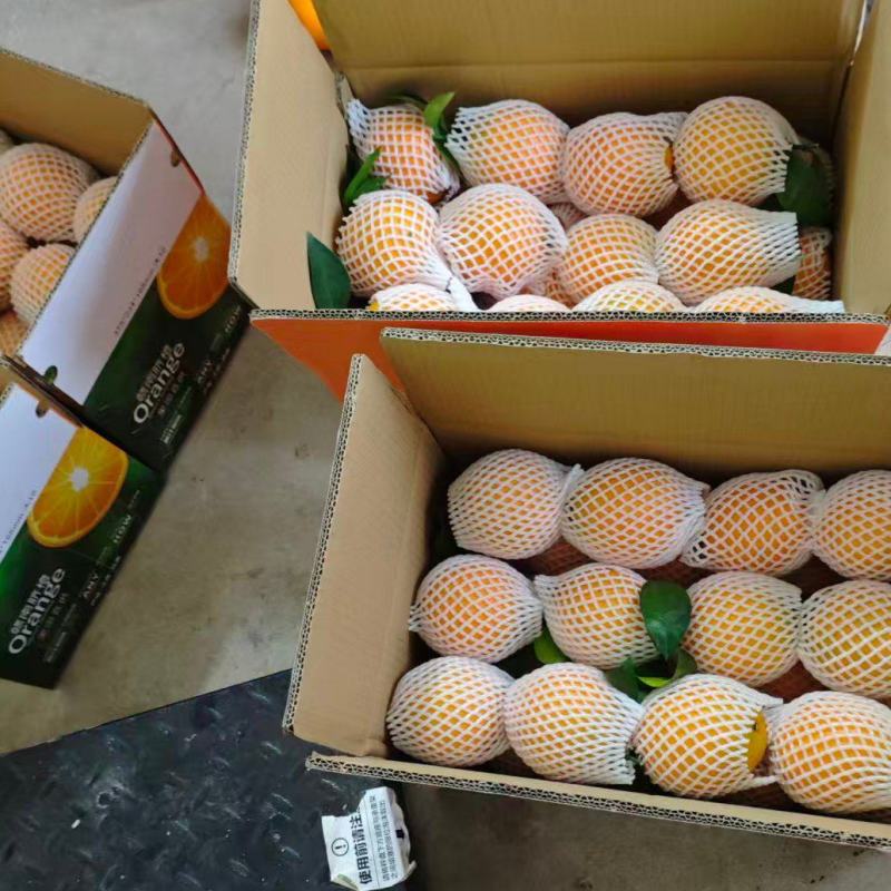 赣南脐橙果园直发20斤支持一件代发欢迎来电精品橙子