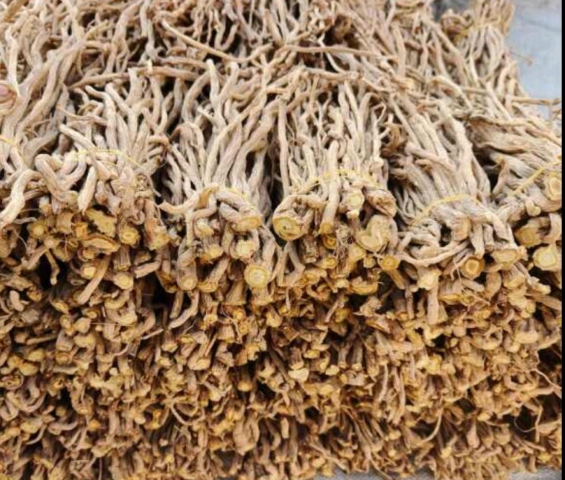【产地直供】大西北高品质关防风，货源充足，量大从优！