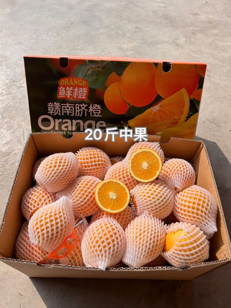 赣南脐橙果园直发20斤支持一件代发欢迎来电精品橙子