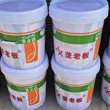 先正达大蒜套餐大蒜三遍药正品大蒜杀菌防病营养套餐