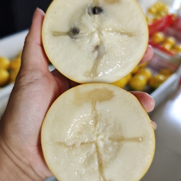 黄晶果