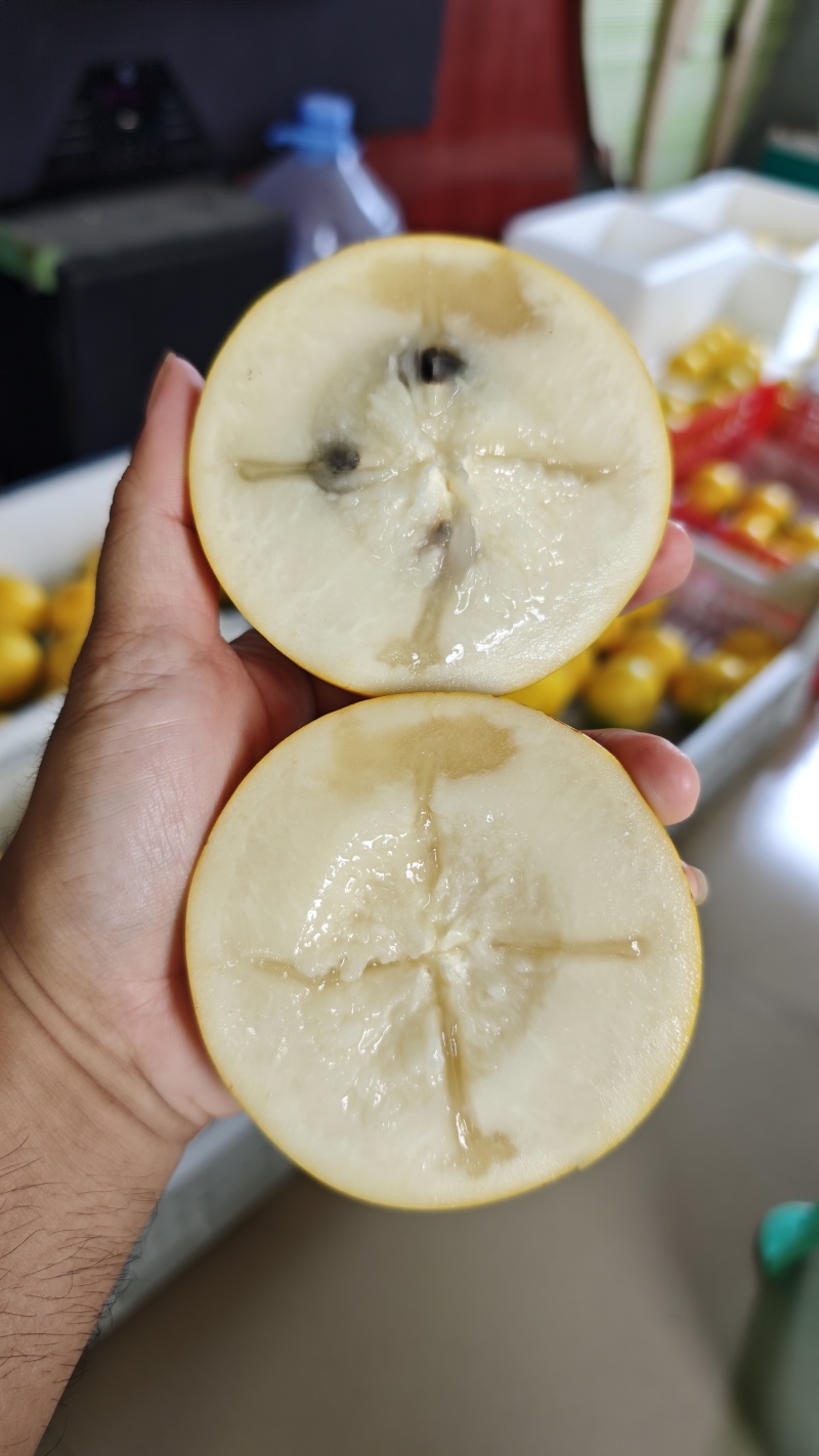 黄晶果
