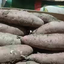 红瑶蜜薯三八两