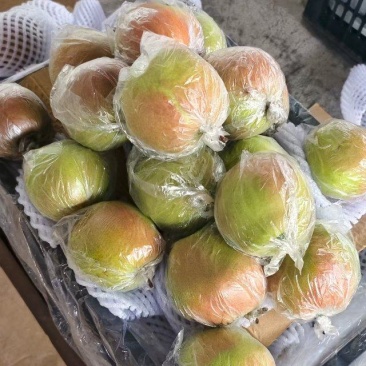 玉露香梨