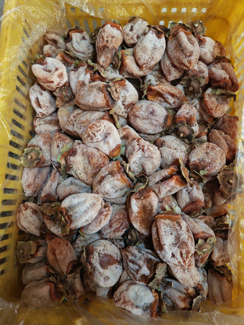 今日份柿饼