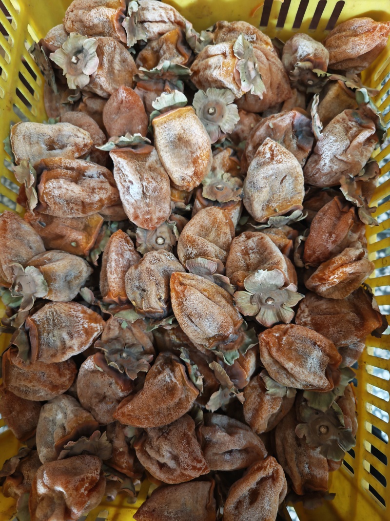 今日份柿饼