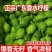 正宗广东香水柠檬奶茶店同款产地直发新鲜采摘