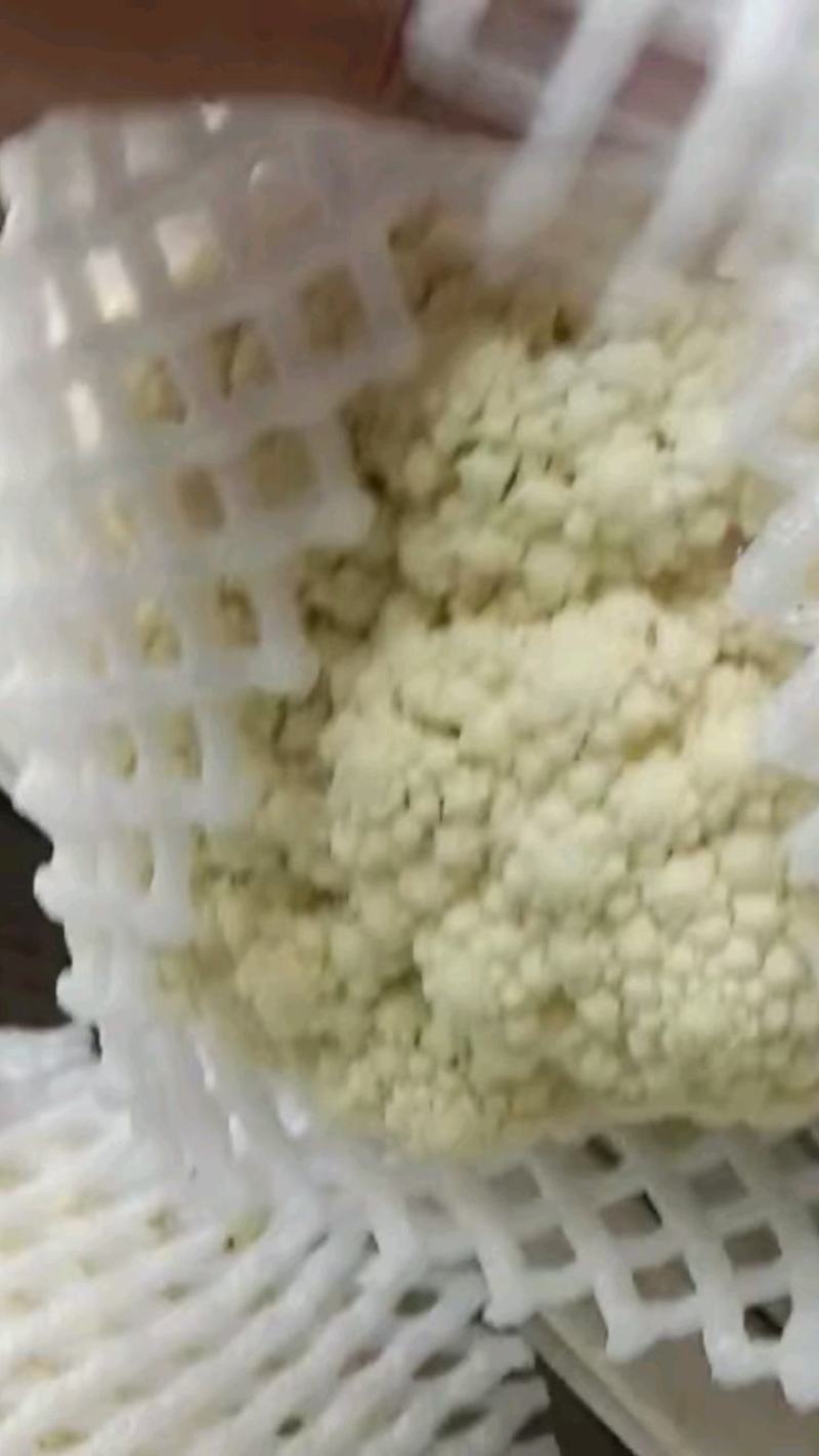 精品松花菜菜花花菜花面干净净菜无根白面青梗