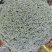 《热卖》浙江西兰花大量上市基地直发品质保证量大从优