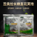 豆乐收豆类拉长嫩直花荚饱豆角芸豆菜豆叶面肥膨大拉长