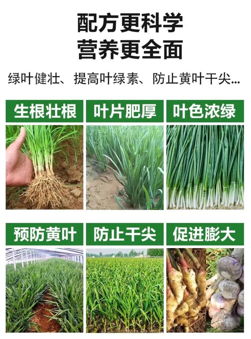 绿叶增产干尖灵大蒜韭菜大葱大姜专用叶面肥预防黄叶一喷绿