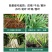 绿叶增产干尖灵大蒜韭菜大葱大姜专用叶面肥预防黄叶一喷绿