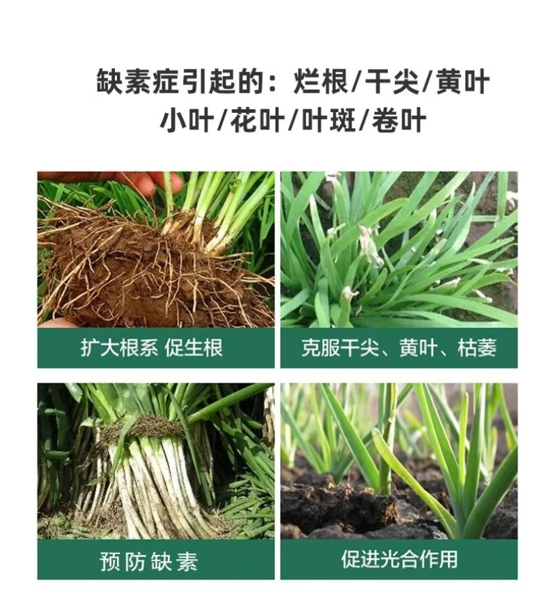 绿叶增产干尖灵大蒜韭菜大葱大姜专用叶面肥预防黄叶一喷绿