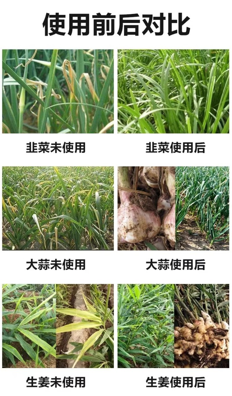绿叶增产干尖灵大蒜韭菜大葱大姜专用叶面肥预防黄叶一喷绿