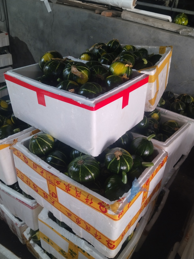 嘉兴精品南瓜大量上市，个型非常好看扁圆型，光泽亮度十足