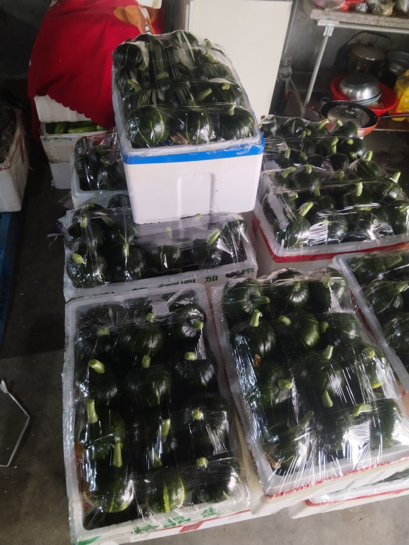 嘉兴精品南瓜大量上市，个型非常好看扁圆型，光泽亮度十足