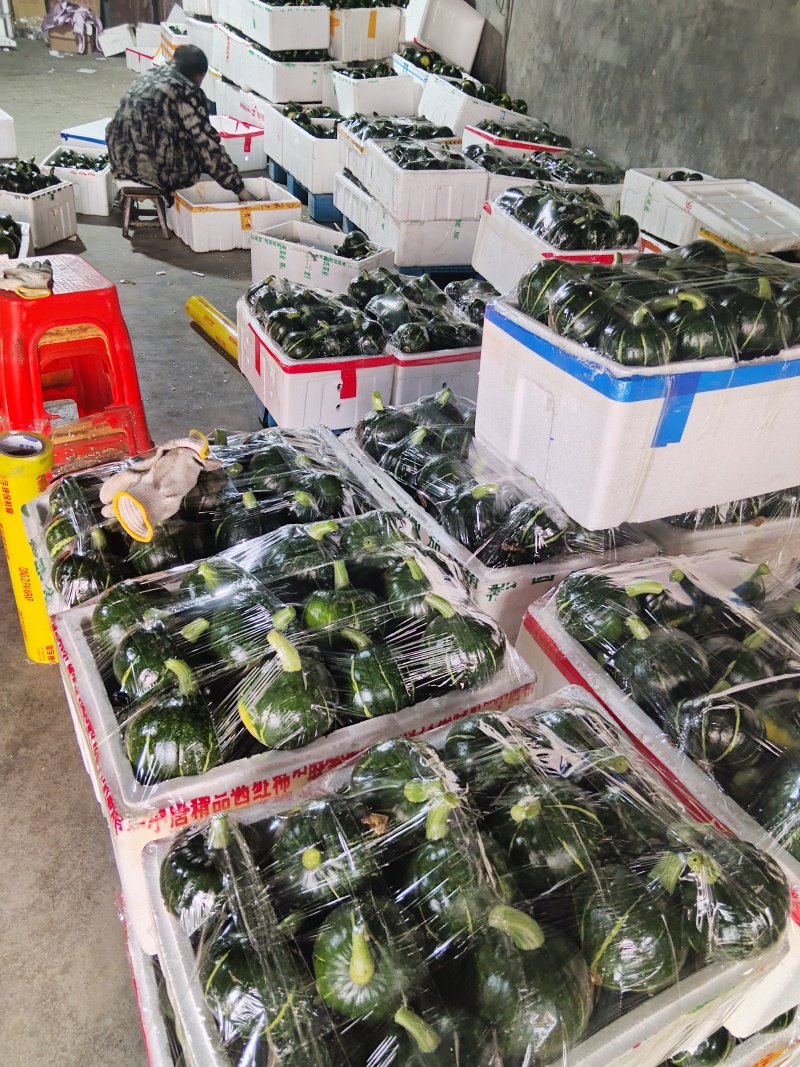 嘉兴精品南瓜大量上市，个型非常好看扁圆型，光泽亮度十足