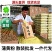 蒲黄粉厂家直发品质保证量大从优一手货源，欢迎各位老板
