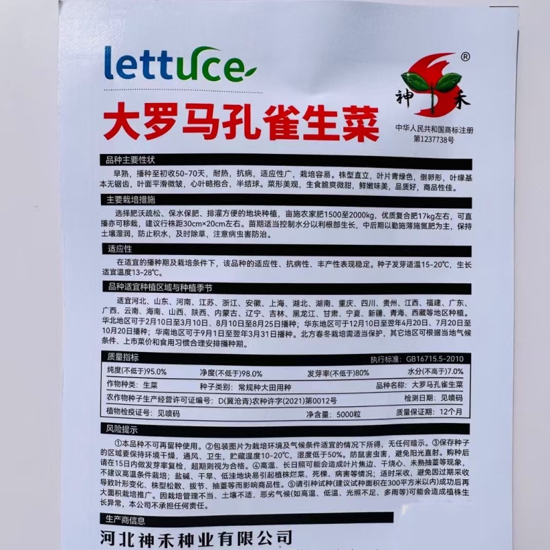 神禾大罗马孔雀生菜种子口感好早熟商品性佳夏秋播种