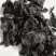 制黄精酒炙黄精生黄精九蒸九晒黄精