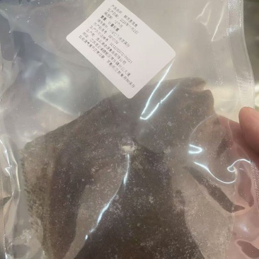 多宝鱼全规格1/2，2/3，3/4有现货十吨