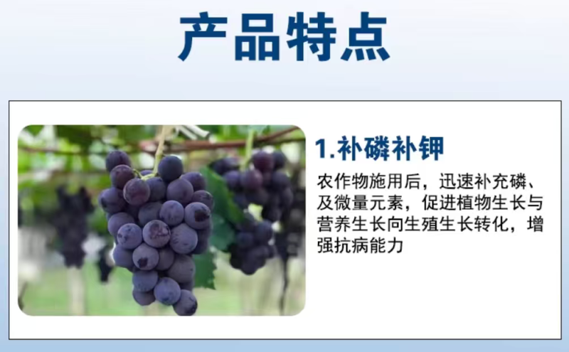 烯磷酸钾果树蔬菜促进花芽分化控旺控梢防徒长膨果增甜补磷