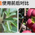 烯磷酸钾果树蔬菜促进花芽分化控旺控梢防徒长膨果增甜补磷
