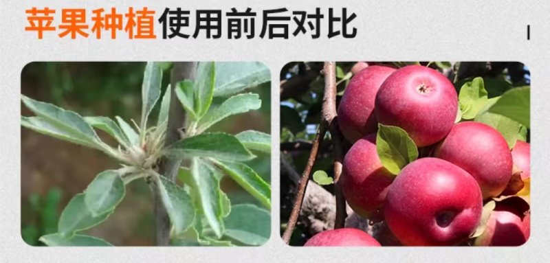 烯磷酸钾果树蔬菜促进花芽分化控旺控梢防徒长膨果增甜补磷