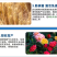 烯磷酸钾果树蔬菜促进花芽分化控旺控梢防徒长膨果增甜补磷