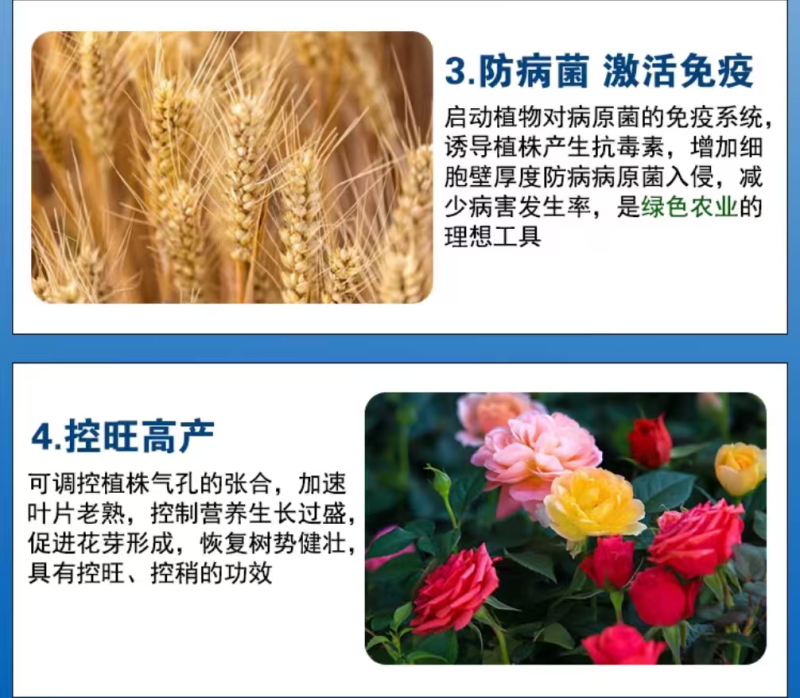 烯磷酸钾果树蔬菜促进花芽分化控旺控梢防徒长膨果增甜补磷