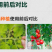 烯磷酸钾果树蔬菜促进花芽分化控旺控梢防徒长膨果增甜补磷
