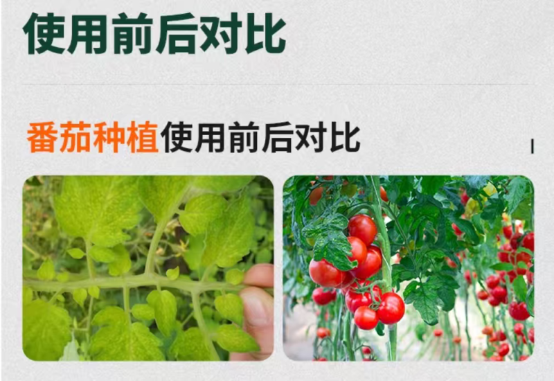 烯磷酸钾果树蔬菜促进花芽分化控旺控梢防徒长膨果增甜补磷