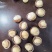 夏威夷果大果奶香味25以上