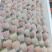 草莓