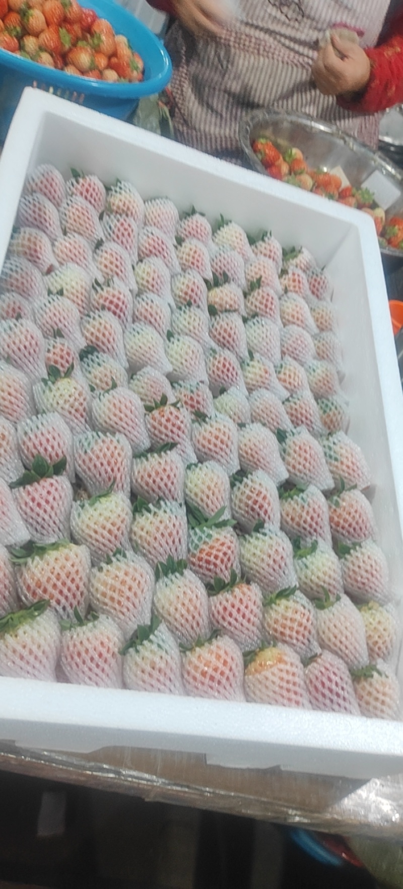 草莓