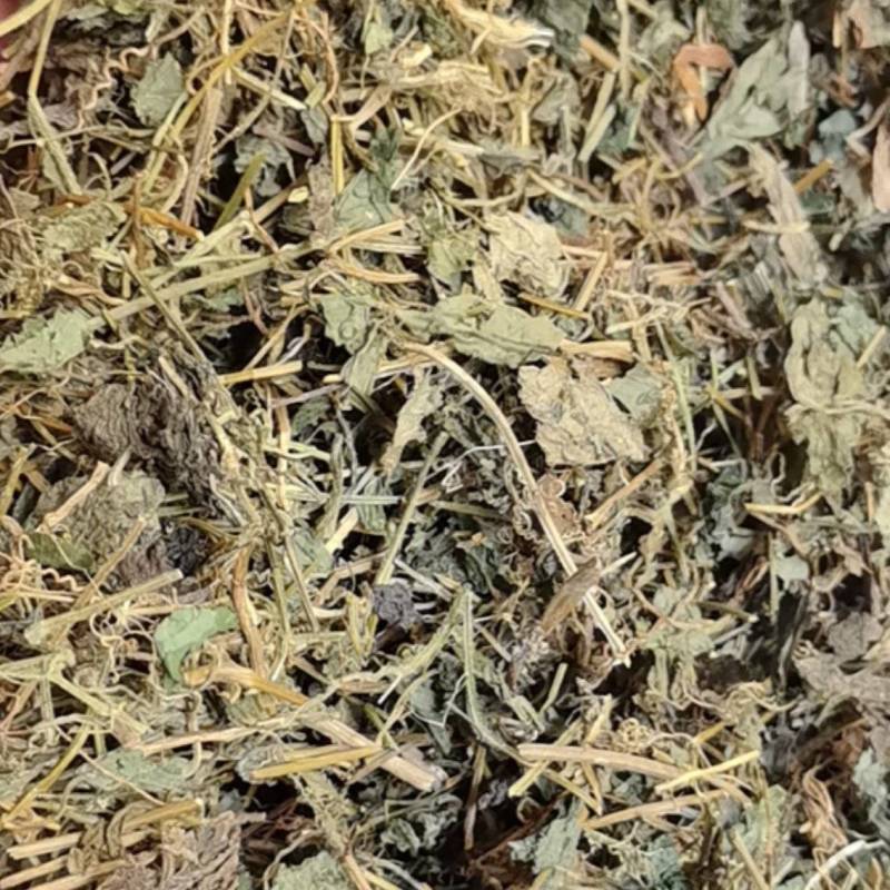 绞股蓝苦绞股蓝一公斤起发