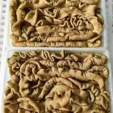 酱香卤肥肠