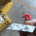 云南一手货源木薯种苗成活率高价格美丽质量好走货快欢迎询价