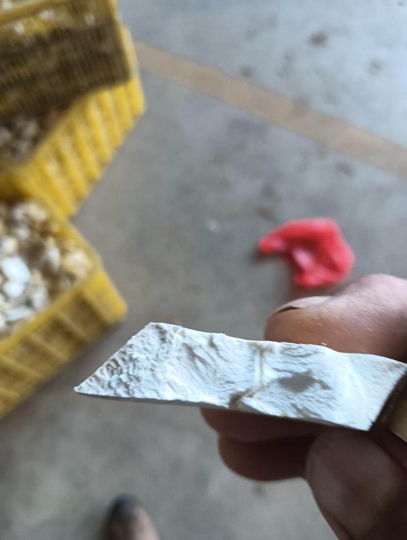 云南一手货源木薯种苗成活率高价格美丽质量好走货快欢迎询价