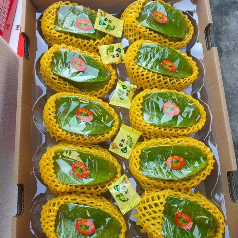 精品杨桃