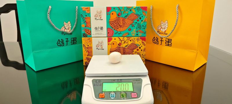 无精鸽蛋，原粮鸽蛋，全国可发，量大可开发票非中间商