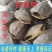 鳖甲甲鱼壳中药材生鳖甲鳖甲壳鳖盖子团鱼壳高品质