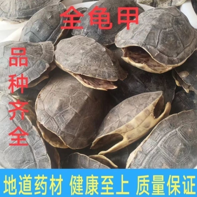 鳖甲甲鱼壳中药材生鳖甲鳖甲壳鳖盖子团鱼壳高品质