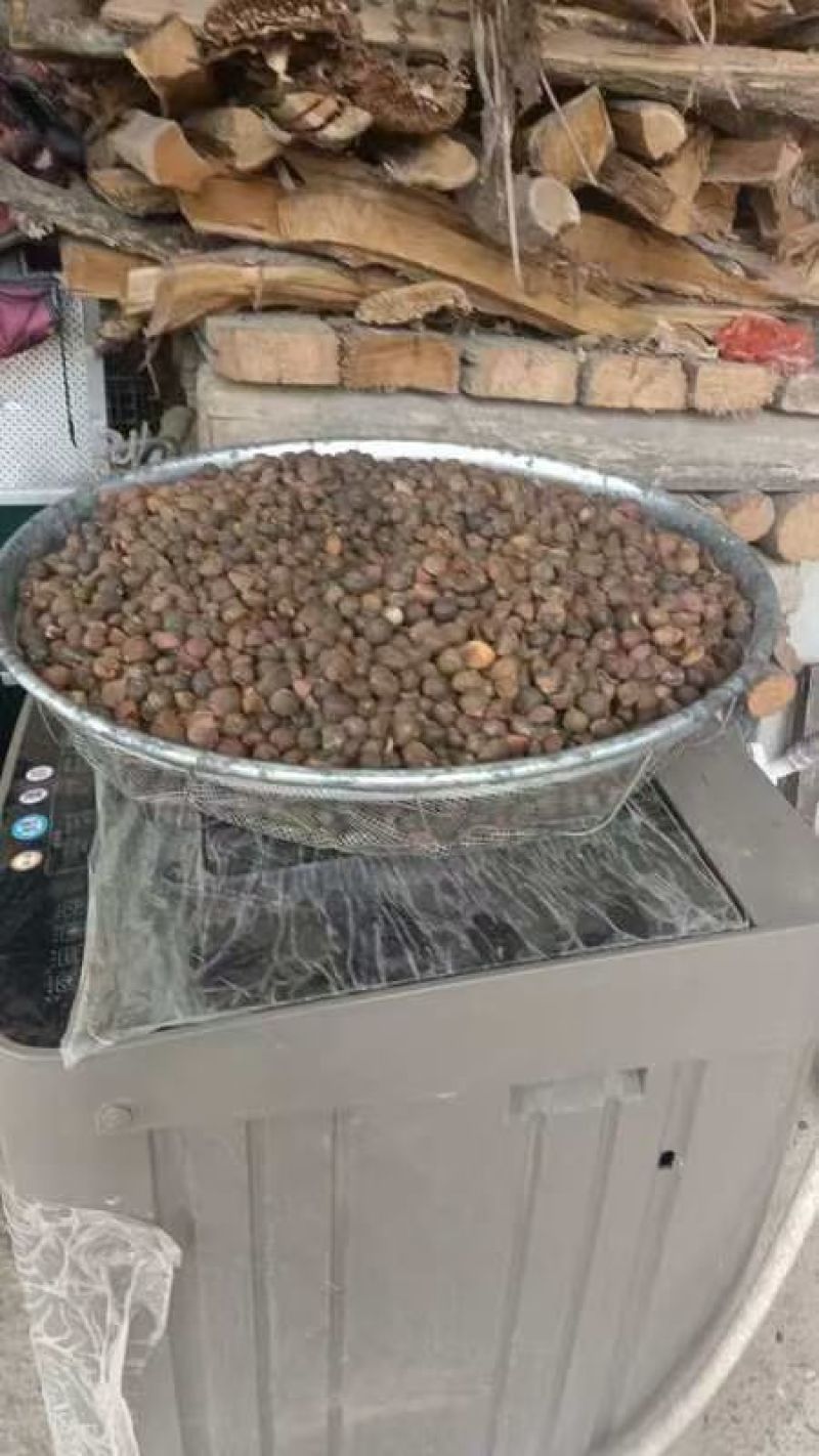 茶仔油，自己山上採摘少量