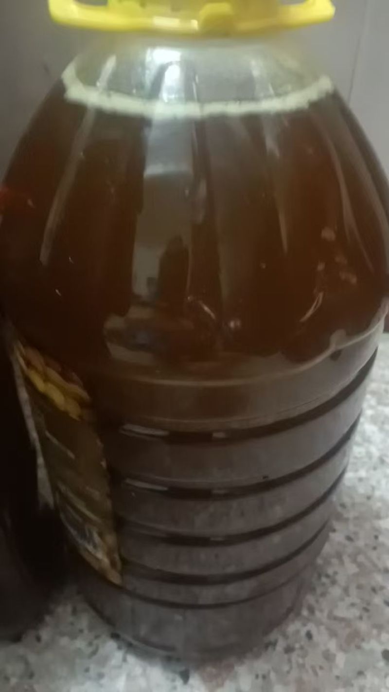 茶仔油，自己山上採摘少量