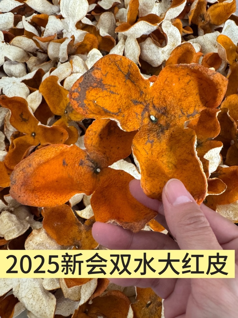 新会大红皮二红皮新会双水大红皮陈皮批发