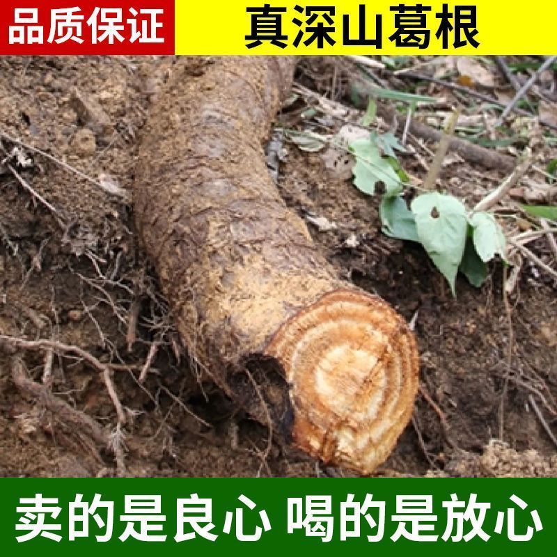 葛根中药材正品柴葛根块粉葛无硫正品中药材